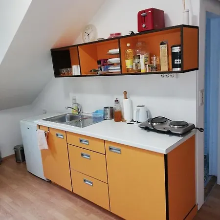 Hostel Vila Veselova, City Center