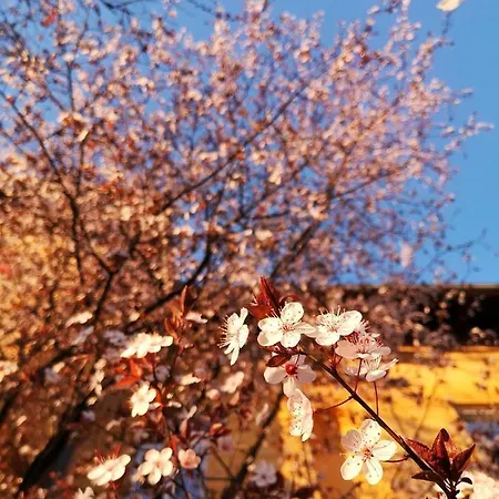 Vila Veselova, City Center Λιουμπλιάνα