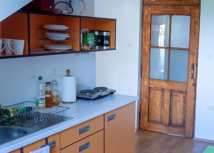 旅馆 Vila Veselova, City Center