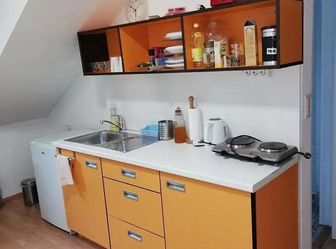 Hostel Vila Veselova, City Center