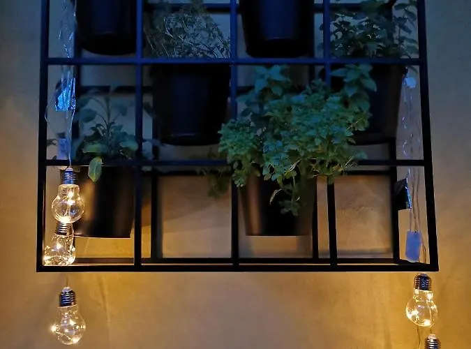 Vila Veselova, City Center Lublaň